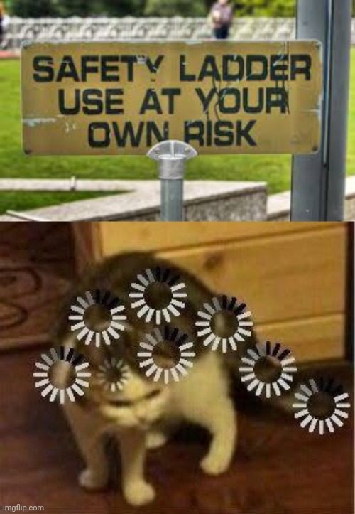 Then What's The Point Of It Being Safe? | image tagged in super confused cat | made w/ Imgflip meme maker