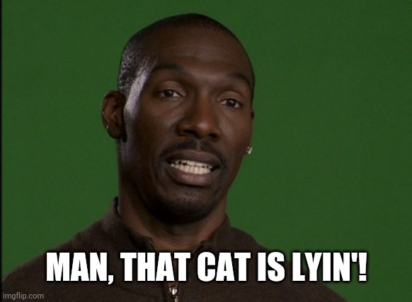 Charlie Murphy | MAN, THAT CAT IS LYIN'! | image tagged in charlie murphy | made w/ Imgflip meme maker