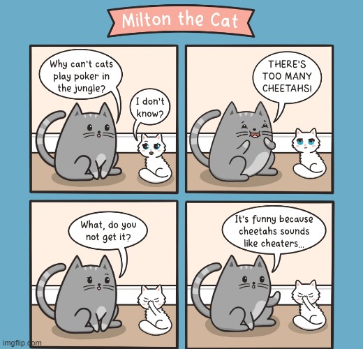 JUST GIVE UP KITTY | image tagged in cats,funny cats,dad joke,eyeroll | made w/ Imgflip meme maker