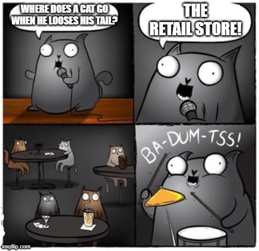 WHY DID THE CAT LOSE IT'S TAIL? | THE RETAIL STORE! WHERE DOES A CAT GO WHEN HE LOOSES HIS TAIL? | image tagged in cats,funny cats,eyeroll,dad joke | made w/ Imgflip meme maker
