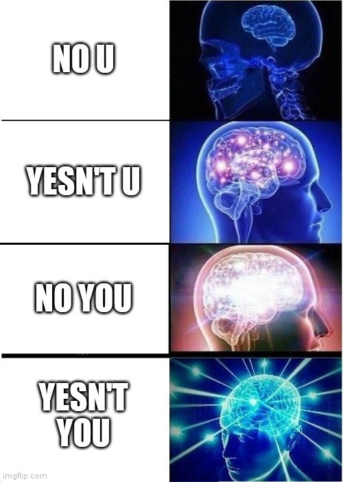 Omg influencer moment guys | NO U; YESN'T U; NO YOU; YESN'T YOU | image tagged in memes,expanding brain | made w/ Imgflip meme maker