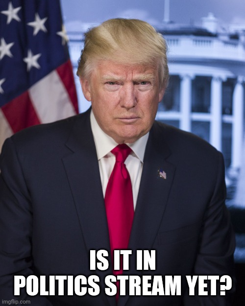 donald trump president | IS IT IN POLITICS STREAM YET? | image tagged in donald trump president | made w/ Imgflip meme maker