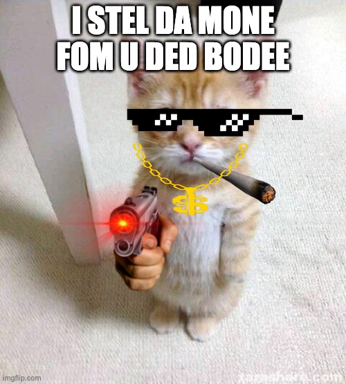 Cute Cat Meme | I STEL DA MONE FOM U DED BODEE | image tagged in memes,cute cat | made w/ Imgflip meme maker