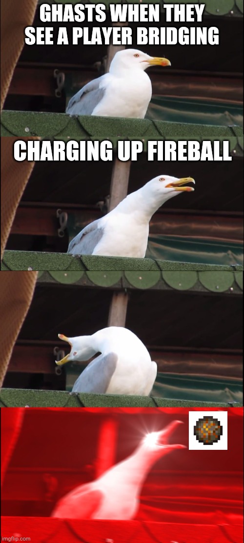 ghasts be like... | GHASTS WHEN THEY SEE A PLAYER BRIDGING; CHARGING UP FIREBALL | image tagged in memes,inhaling seagull,lol,haha,gaming memes,minecraft | made w/ Imgflip meme maker
