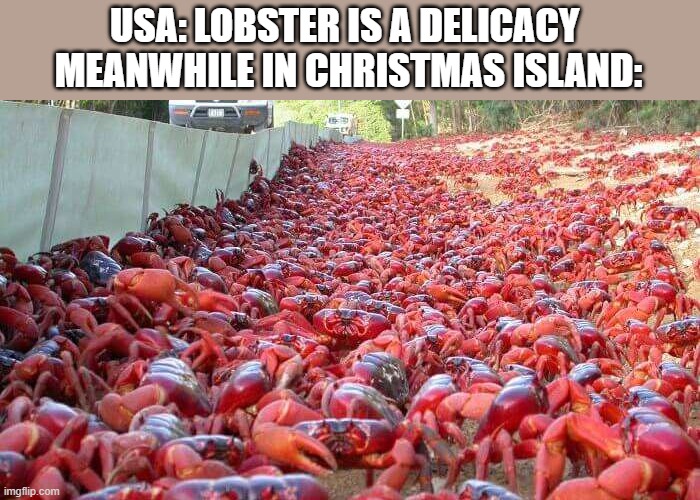 Crabs go brrrrrrrrrr | USA: LOBSTER IS A DELICACY 
MEANWHILE IN CHRISTMAS ISLAND: | image tagged in lobster,crabs | made w/ Imgflip meme maker