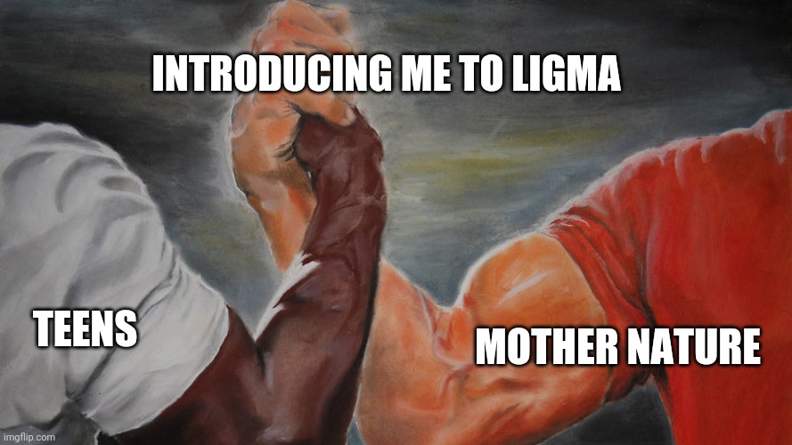 epic hand shake | INTRODUCING ME TO LIGMA; TEENS; MOTHER NATURE | image tagged in epic hand shake,memes | made w/ Imgflip meme maker