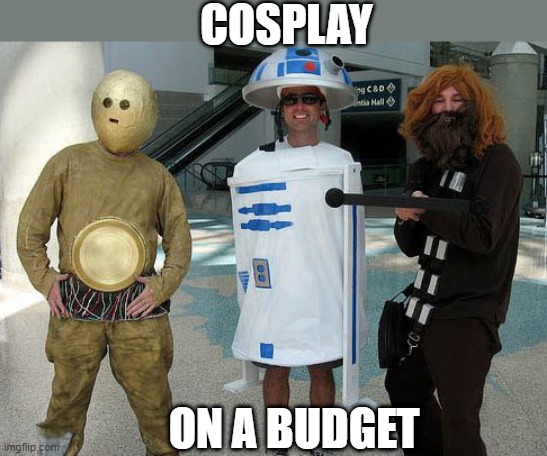THOSE AREN'T THE DROIDS ANYONE WAS LOOKING | COSPLAY; ON A BUDGET | image tagged in star wars,c3po,r2d2,chewbacca,cosplay,cosplay fail | made w/ Imgflip meme maker