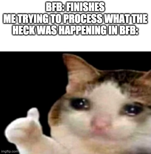 Sad cat thumbs up | BFB: FINISHES
ME TRYING TO PROCESS WHAT THE HECK WAS HAPPENING IN BFB: | image tagged in sad cat thumbs up | made w/ Imgflip meme maker