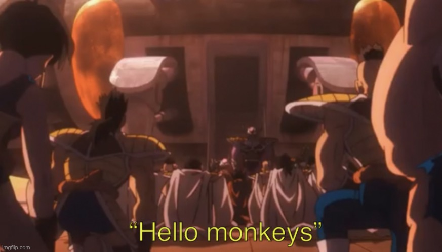 Hello monkeys | image tagged in hello monkeys | made w/ Imgflip meme maker