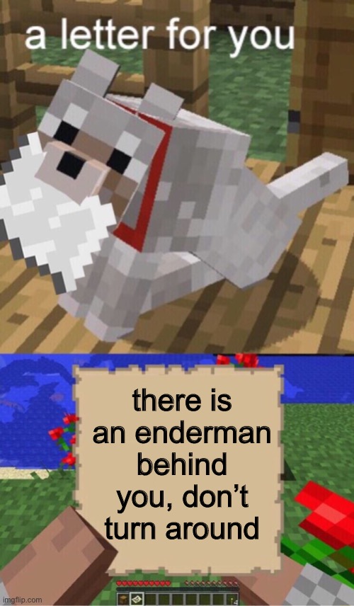 Minecraft Dog is asking you to not turn around |  there is an enderman behind you, don’t turn around | image tagged in minecraft mail,minecraft,memes | made w/ Imgflip meme maker