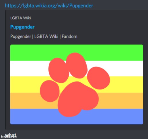 W H Y | made w/ Imgflip meme maker