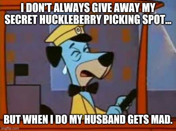 Crying Huckleberry Hound | I DON'T ALWAYS GIVE AWAY MY SECRET HUCKLEBERRY PICKING SPOT... BUT WHEN I DO MY HUSBAND GETS MAD. | image tagged in crying huckleberry hound | made w/ Imgflip meme maker