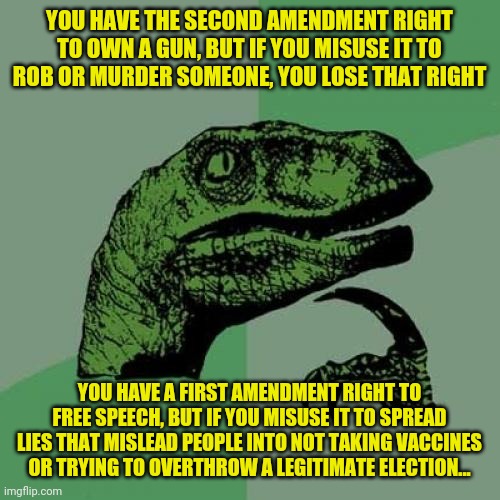 Philosoraptor | YOU HAVE THE SECOND AMENDMENT RIGHT TO OWN A GUN, BUT IF YOU MISUSE IT TO ROB OR MURDER SOMEONE, YOU LOSE THAT RIGHT; YOU HAVE A FIRST AMENDMENT RIGHT TO FREE SPEECH, BUT IF YOU MISUSE IT TO SPREAD LIES THAT MISLEAD PEOPLE INTO NOT TAKING VACCINES OR TRYING TO OVERTHROW A LEGITIMATE ELECTION... | image tagged in memes,philosoraptor,1st amendment,2nd amendment,criminals | made w/ Imgflip meme maker