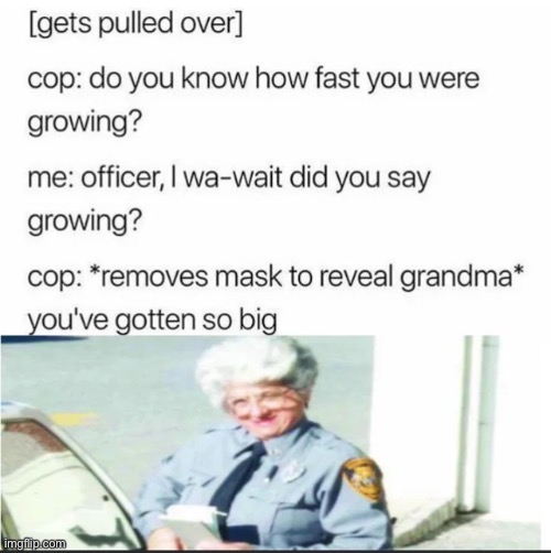 Grandma Cop | image tagged in grandma cop | made w/ Imgflip meme maker