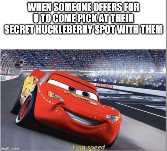 I am Speed | WHEN SOMEONE OFFERS FOR U TO COME PICK AT THEIR SECRET HUCKLEBERRY SPOT WITH THEM | image tagged in i am speed | made w/ Imgflip meme maker