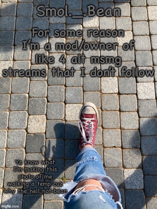 For some reason I’m a mod/owner of like 4 alt msmg streams that I don’t follow | image tagged in beans foot temp | made w/ Imgflip meme maker