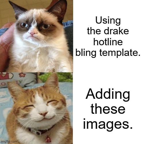 Using the drake hotline bling template. Adding these images. | image tagged in memes,cats,drake hotline bling | made w/ Imgflip meme maker