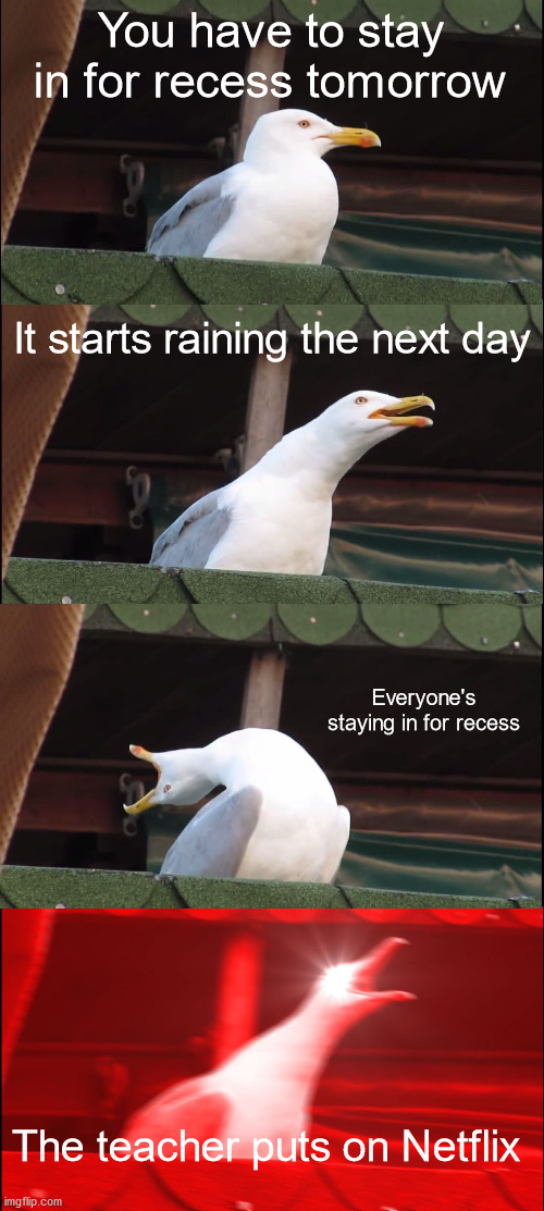 Inhaling Seagull | You have to stay in for recess tomorrow; It starts raining the next day; Everyone's staying in for recess; The teacher puts on Netflix | image tagged in memes,inhaling seagull | made w/ Imgflip meme maker