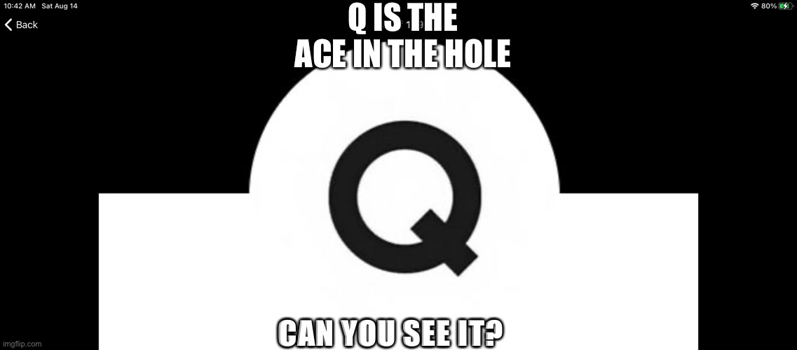 NCSWIC | Q IS THE ACE IN THE HOLE; CAN YOU SEE IT? | image tagged in memes | made w/ Imgflip meme maker