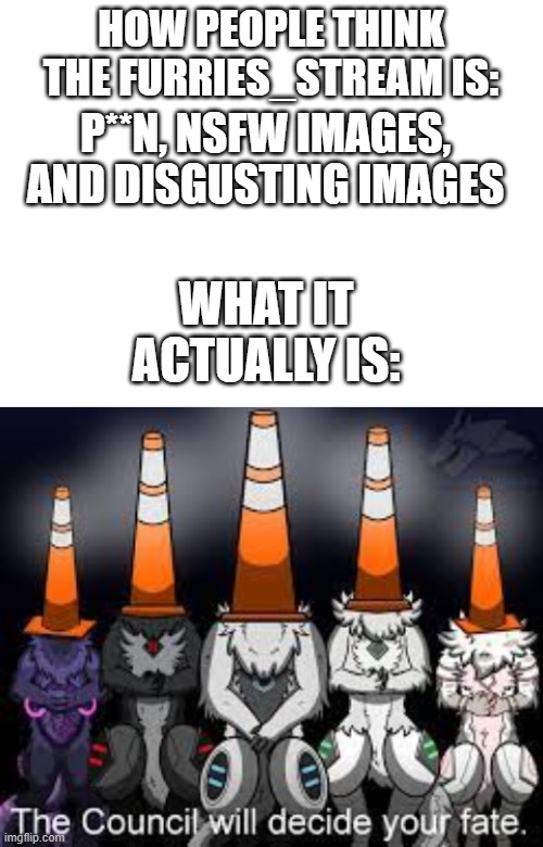 it's not all that bad- | HOW PEOPLE THINK THE FURRIES_STREAM IS:; P**N, NSFW IMAGES, AND DISGUSTING IMAGES; WHAT IT ACTUALLY IS: | image tagged in blank white template,the furry council will decide your fate | made w/ Imgflip meme maker