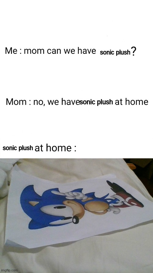 s o n  i c | sonic plush; sonic plush; sonic plush | image tagged in no we have at home | made w/ Imgflip meme maker