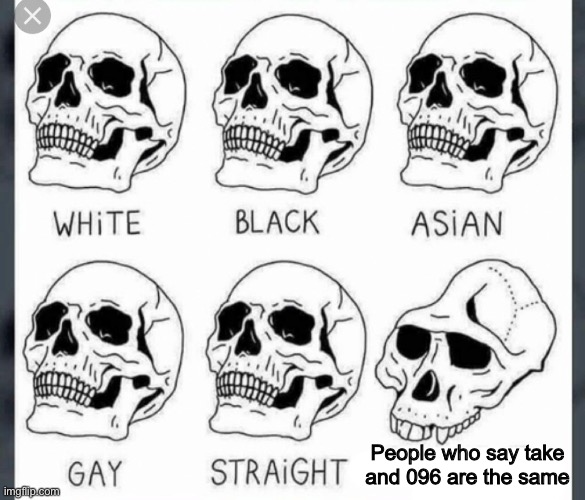 White Black Asian Gay Straight skull template | People who say take and 096 are the same | image tagged in white black asian gay straight skull template | made w/ Imgflip meme maker