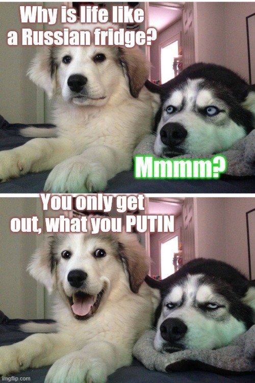 Thanks to BlogKlotPicQuotes for this meme | image tagged in putin jokes | made w/ Imgflip meme maker