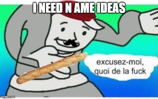 french wtf | I NEED N AME IDEAS | image tagged in french wtf | made w/ Imgflip meme maker