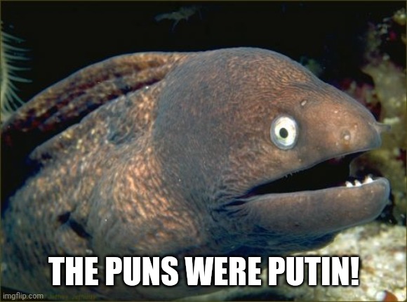 Bad Joke Eel Meme | THE PUNS WERE PUTIN! | image tagged in memes,bad joke eel | made w/ Imgflip meme maker