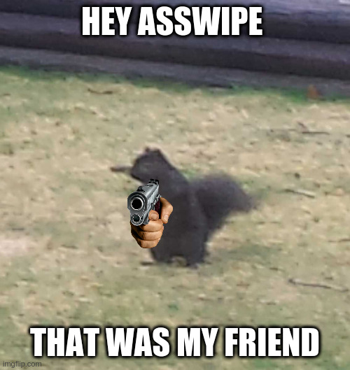when you run over a rabbit | HEY ASSWIPE THAT WAS MY FRIEND | image tagged in squirrel,accidentally | made w/ Imgflip meme maker