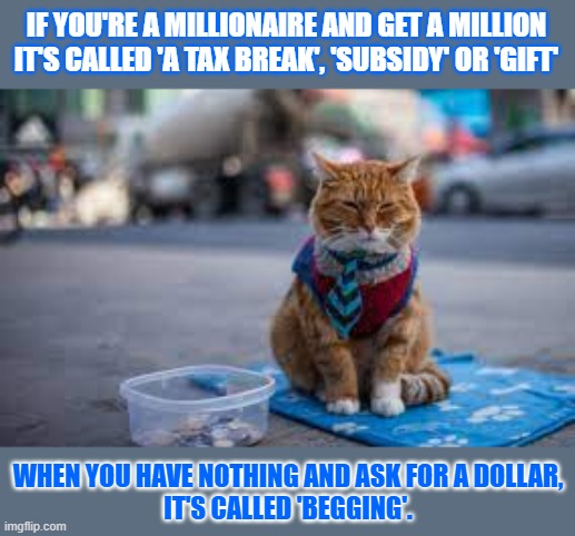This lolcat wonders why asking for a million is called 'a subsidy' and not begging | IF YOU'RE A MILLIONAIRE AND GET A MILLION
IT'S CALLED 'A TAX BREAK', 'SUBSIDY' OR 'GIFT'; WHEN YOU HAVE NOTHING AND ASK FOR A DOLLAR,
IT'S CALLED 'BEGGING'. | image tagged in lolcat,begging,millionaire,hand out | made w/ Imgflip meme maker