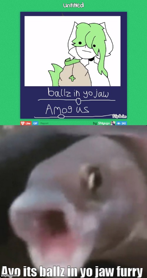 totallynotstalkingsomeone'sprofilewhatdoyoumean | Ayo its ballz in yo jaw furry | image tagged in poggers fish | made w/ Imgflip meme maker