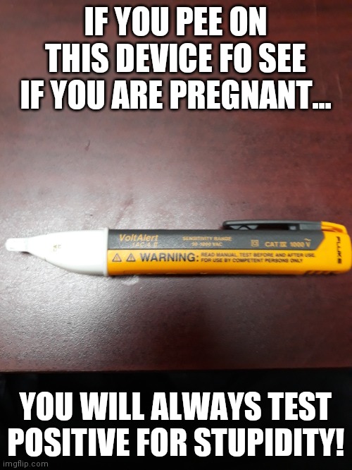 "Caution...FOR USE BY COMPETENT PERSONS ONLY"  That leaves out Politicians especially Joe Biden! | IF YOU PEE ON THIS DEVICE FO SEE IF YOU ARE PREGNANT... YOU WILL ALWAYS TEST POSITIVE FOR STUPIDITY! | image tagged in liberal,pregnancy,test | made w/ Imgflip meme maker