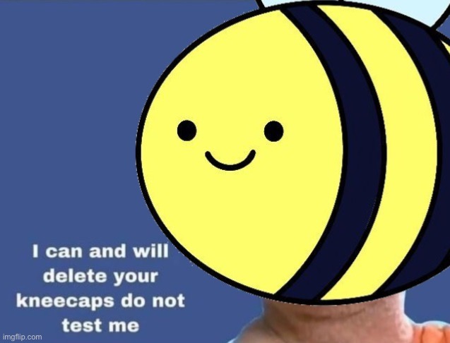 Beez I can and will delete your kneecaps | image tagged in beez i can and will delete your kneecaps | made w/ Imgflip meme maker