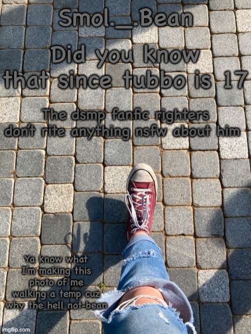 Did you know that since tubbo is 17; The dsmp fanfic righters don’t rite anything nsfw about him | image tagged in beans foot temp,why the hell not | made w/ Imgflip meme maker