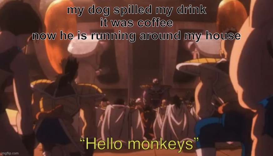 don’t worry it was cold coffee | my dog spilled my drink
it was coffee
now he is running around my house | image tagged in hello monkeys | made w/ Imgflip meme maker