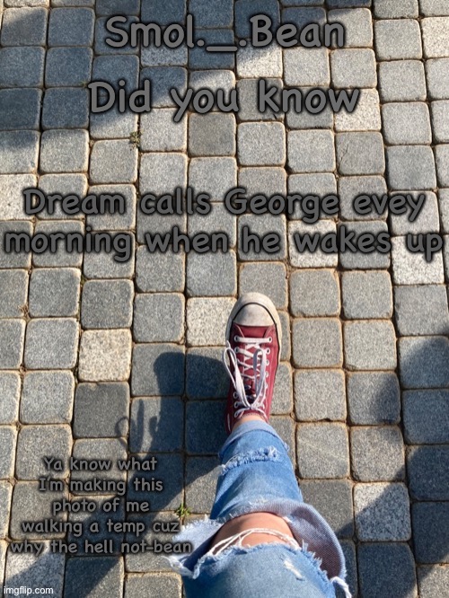 Did you know; Dream calls George evey morning when he wakes up | image tagged in beans foot temp | made w/ Imgflip meme maker