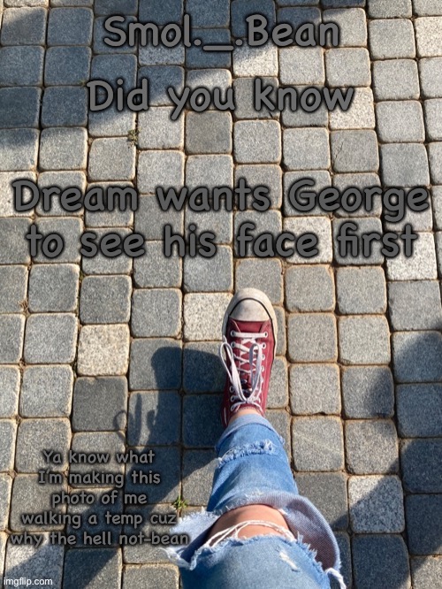 Did you know; Dream wants George to see his face first | image tagged in beans foot temp | made w/ Imgflip meme maker