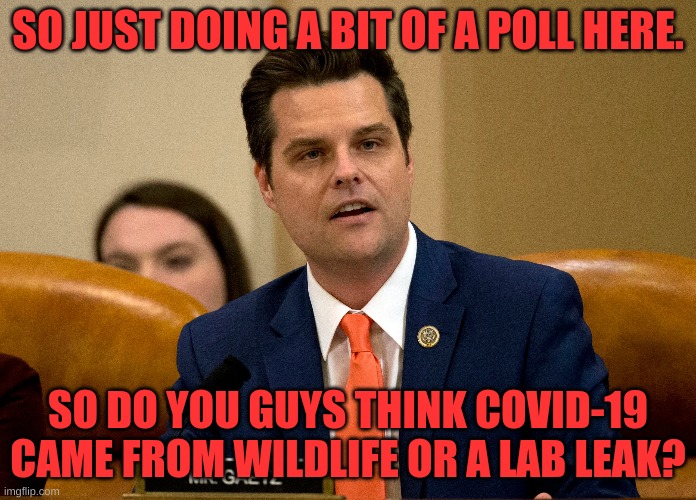 Still wondering | SO JUST DOING A BIT OF A POLL HERE. SO DO YOU GUYS THINK COVID-19 CAME FROM WILDLIFE OR A LAB LEAK? | image tagged in covid,lab,lab leak,covid-19,matt gaetz,poll | made w/ Imgflip meme maker