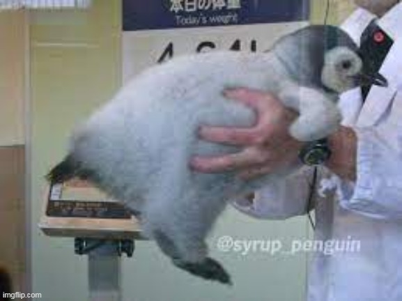 beab | made w/ Imgflip meme maker