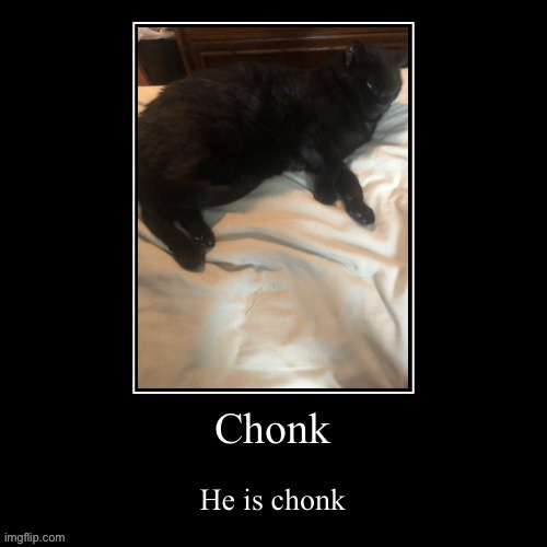 Chonk | image tagged in demotivationals,cats,fat cat | made w/ Imgflip meme maker