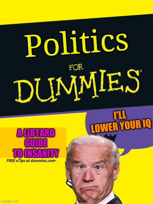 For dummies book | Politics; I'LL LOWER YOUR IQ; A LIBTARD GUIDE TO INSANITY | image tagged in for dummies book | made w/ Imgflip meme maker