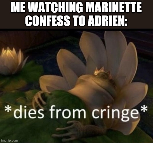Only miraculous fans will understand |  ME WATCHING MARINETTE CONFESS TO ADRIEN: | image tagged in dies from cringe,miraculous | made w/ Imgflip meme maker