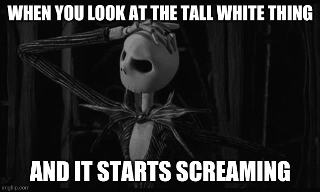 Jack skellington confused | WHEN YOU LOOK AT THE TALL WHITE THING; AND IT STARTS SCREAMING | image tagged in jack skellington confused | made w/ Imgflip meme maker