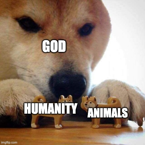 dog now kiss  | GOD; HUMANITY; ANIMALS | image tagged in dog now kiss | made w/ Imgflip meme maker
