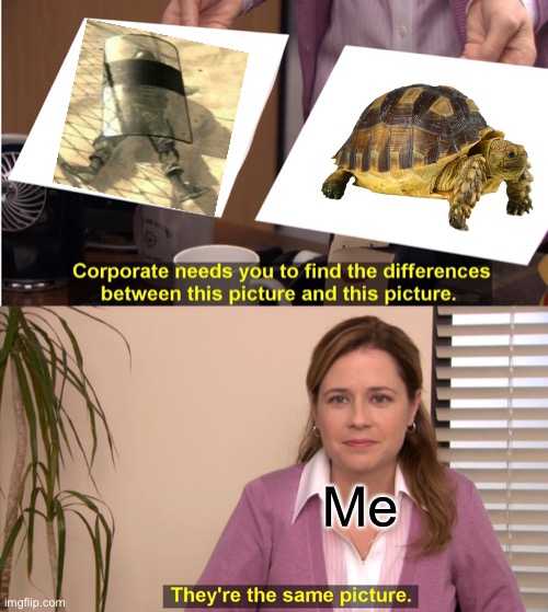 They are both Turtles | Me | image tagged in memes,they're the same picture,turtle | made w/ Imgflip meme maker