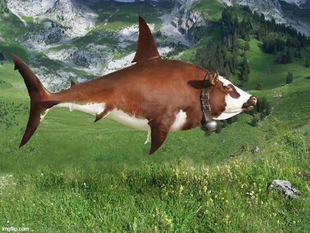 Sharkow | made w/ Imgflip meme maker