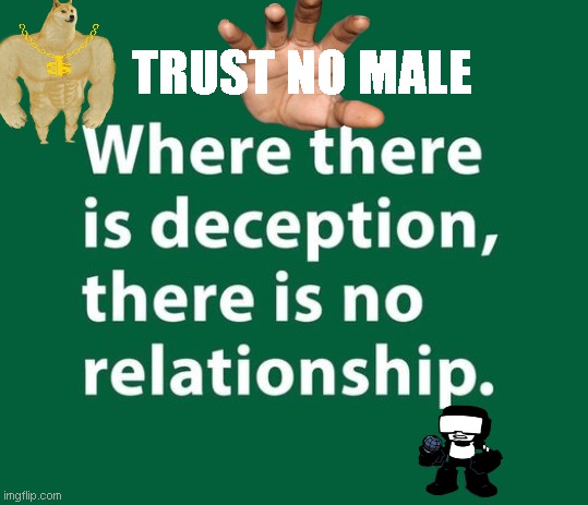 Trust No Dudes | TRUST NO MALE | image tagged in male,stupid people,men,special kind of stupid | made w/ Imgflip meme maker