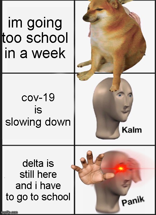 school? | im going too school in a week; cov-19 is slowing down; delta is still here and i have to go to school | image tagged in memes,panik kalm panik | made w/ Imgflip meme maker