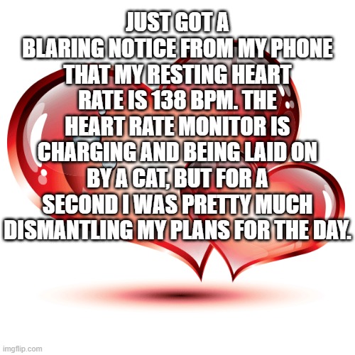 heart rate monitor | JUST GOT A BLARING NOTICE FROM MY PHONE THAT MY RESTING HEART RATE IS 138 BPM. THE HEART RATE MONITOR IS CHARGING AND BEING LAID ON BY A CAT, BUT FOR A SECOND I WAS PRETTY MUCH DISMANTLING MY PLANS FOR THE DAY. | image tagged in heart rate monitor,cat | made w/ Imgflip meme maker